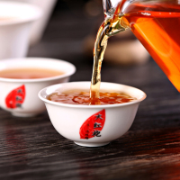 武夷星 武夷山大红袍 武夷岩茶 和风肉桂 乌龙茶 茶叶 50g