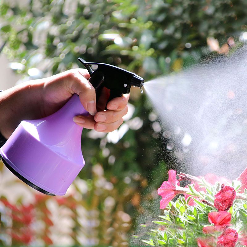 几何喷壶果绿色喷水壶浇花多肉喷雾瓶园艺小型家用洒水壶室内喷雾器浇
