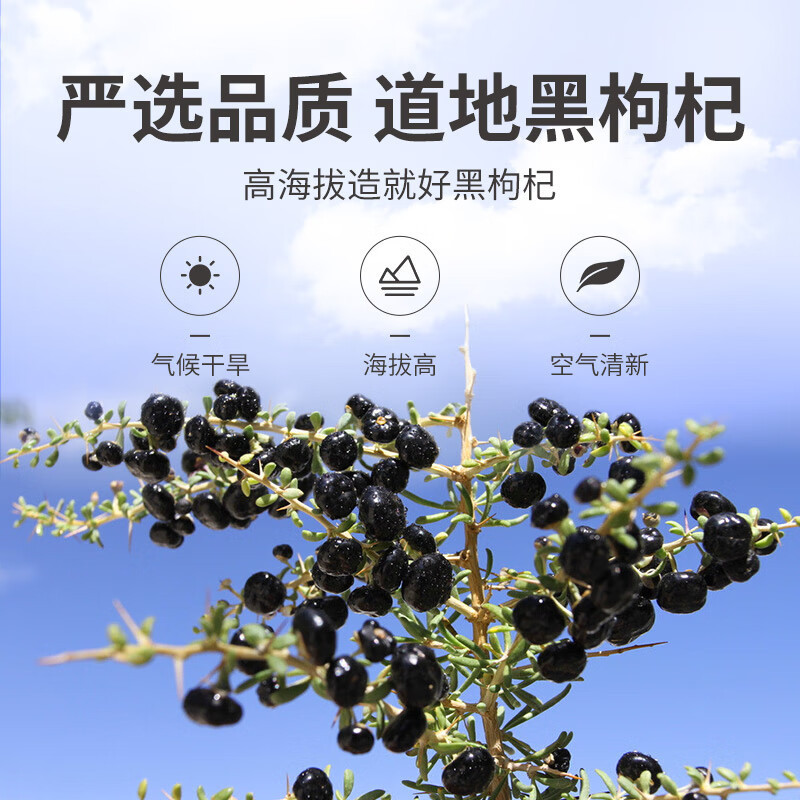 方家铺子 中华老字号 五星黑枸杞30g/罐 黑枸杞子泡水枸杞茶 养生茶饮
