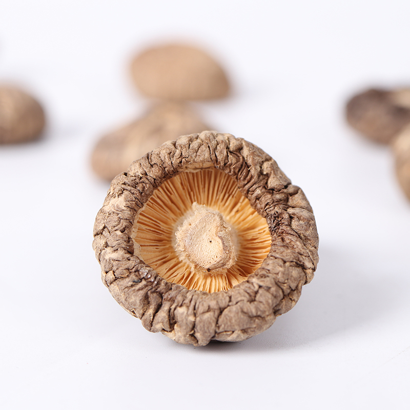 燕之坊西峡伏牛山无根香菇150g 菇肉肥厚 菇香浓郁 剪脚无根