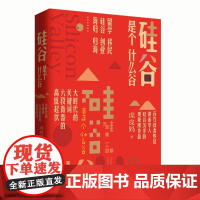 硅谷是个什么谷 虎皮妈 长篇小说中国当代 小说书籍正版