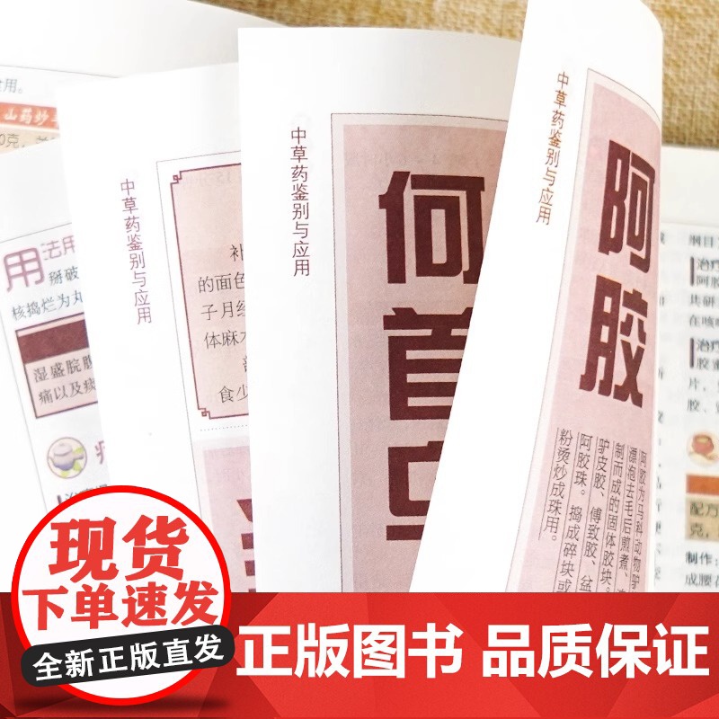 药酒大全 中华药酒养生治病书籍 中医养生书籍调理经典药方老中医诊断学中医养生书籍医药大全中医书中药 补肾泡水喝药酒配方书高清大图