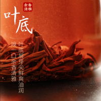 茶马世家云南昌宁滇红红茶叶浓香型新茶奶茶配料慢时光100g
