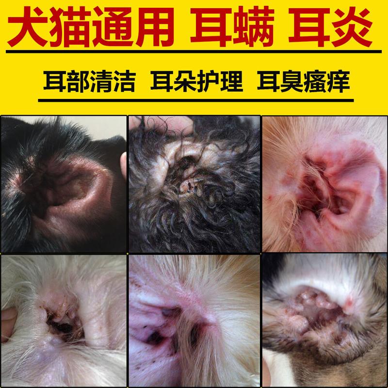 耳螨净狗狗滴耳液猫咪耳道清洁洗耳水宠物耳螨耳炎瘙痒除臭