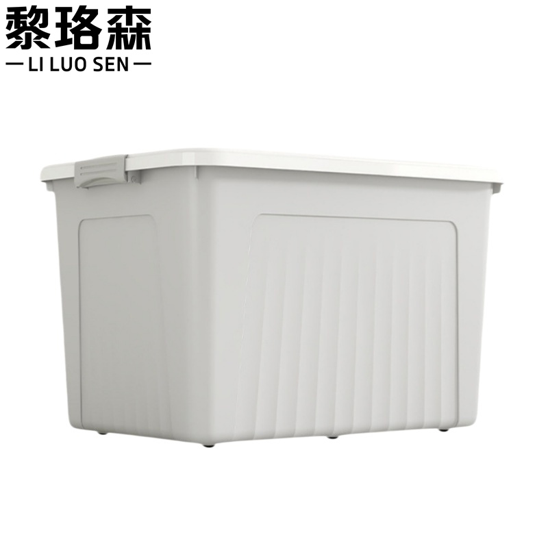 黎珞森高清大图