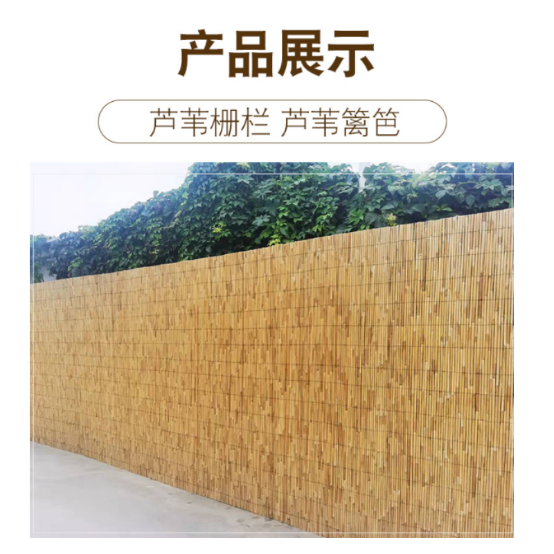 伊洛源 芦苇栅栏围栏高清大图
