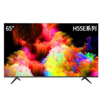 海信电视 65H55E 带挂架安装及人工调试费
