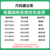 狮臣SHICHEN 2023年秋季新款男士卫衣百搭卫衣圆领套头男卫衣潮牌青少年休闲运动卫衣男装