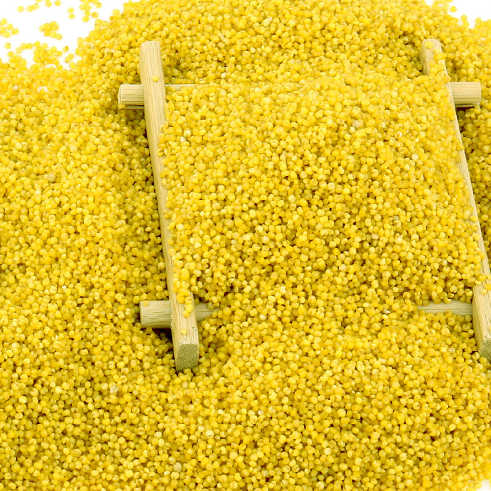 艾谷(LIKECOOK) 山西晋谷沁黄小米900g(88罐)高清大图