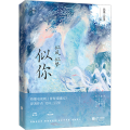 似风似梦似你