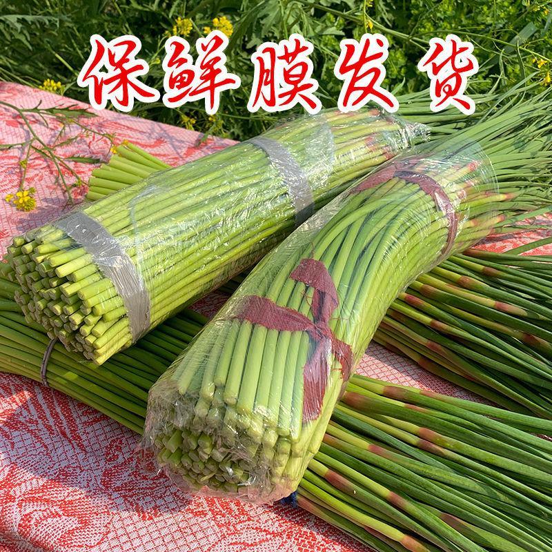 【拍2份9折】【特价】2020年新鲜蒜苔新鲜蔬菜蒜苔蒜薹河南蒜苗1/3/5斤图片