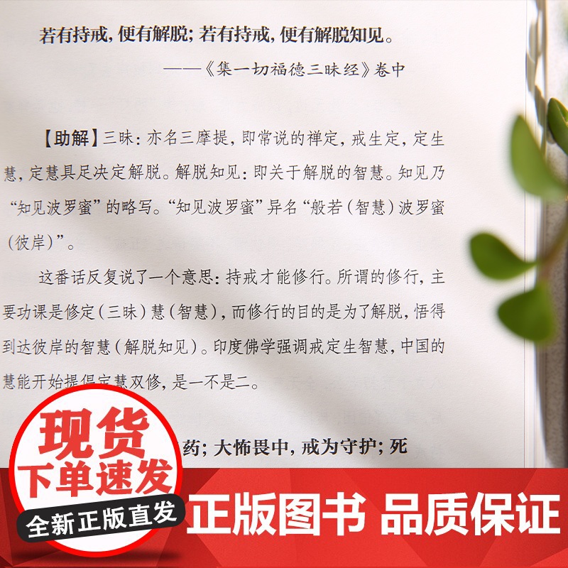 人间是道场 谦德国学文库系列高清大图