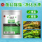 绿水净水鱼缸除藻剂去青苔灭藻净化硝化活菌片褐黑毛丝藻
