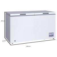 商用冷柜 卧式大冷冻柜 冰柜