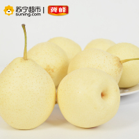 冀峰 甜鸭梨 9-11个 净重约2.3kg