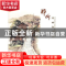 正版 郑炘绘画作品集 郑炘 著 东南大学出版社 9787564161453 书