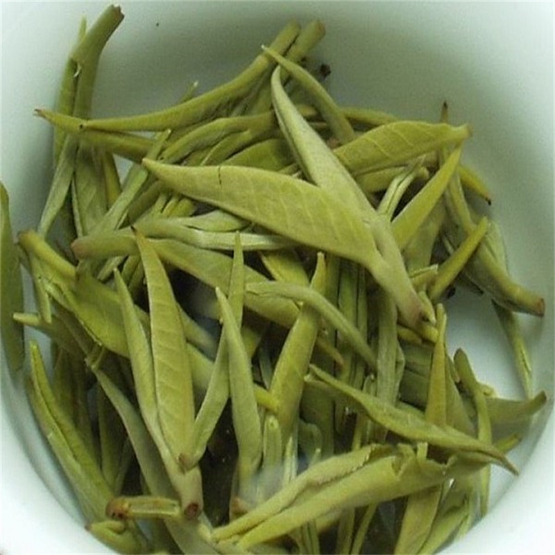 广西特产凌云白豪茶高山绿茶500g罐单位罐