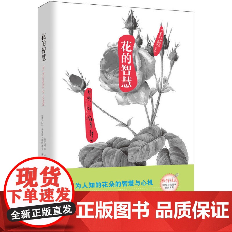 自然美文系列:花的智慧 莫里斯·梅特林克 重庆出版社 正版书籍高清大图