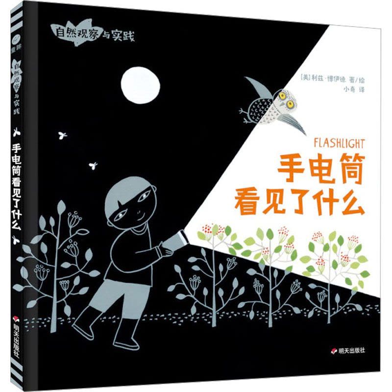 手电筒看见了什么/自然观察与实践图片