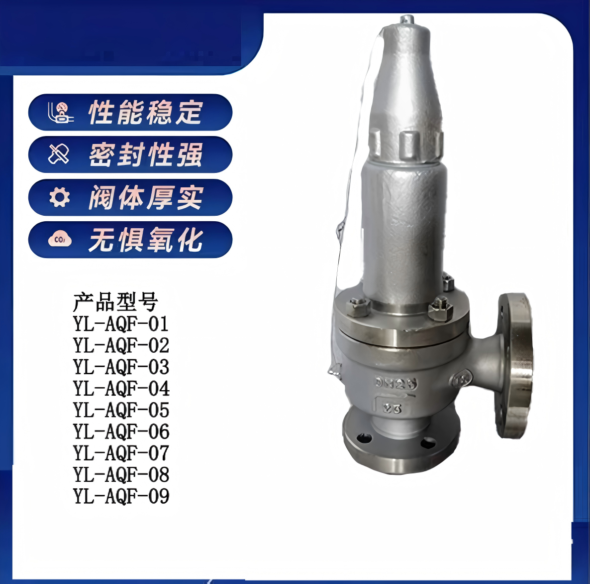 云里 安全阀 YL-AQF-09 台高清大图