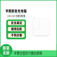 苹果/Apple 12W USB 电源适配器 IPAD充电器适用iPhone/iPad/ipad mini/Air 单头