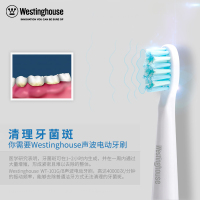 西屋(Westinghouse)牙刷头WT04声波震动式电动牙刷头亮白牙齿 含牙刷头2个 适用型号WT-101G/B