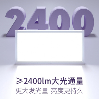 奥普长灯ZDLD5024A 集成吊顶专业LED平板灯 厨房卫生间嵌入式300*600照明灯 白色 24W