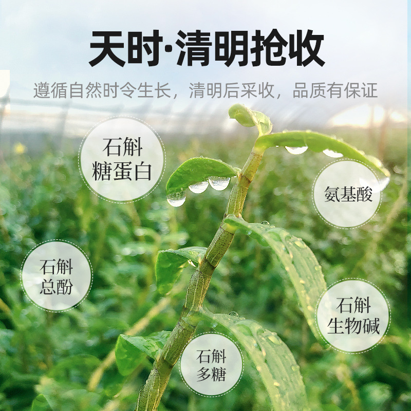 铁皮石斛250g礼盒年货送礼铁皮石斛五年生铁皮石斛过节礼品 枫斗官方旗舰店高清大图