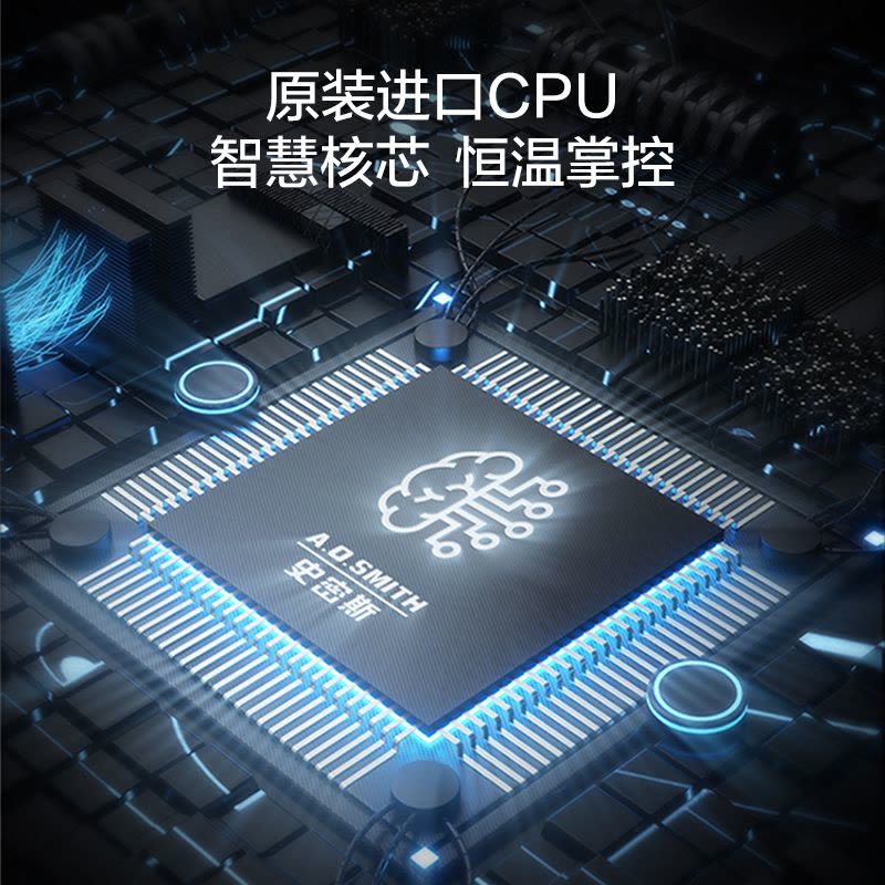 A.O.史密斯燃气热水器JSQ31-NDJWi图片