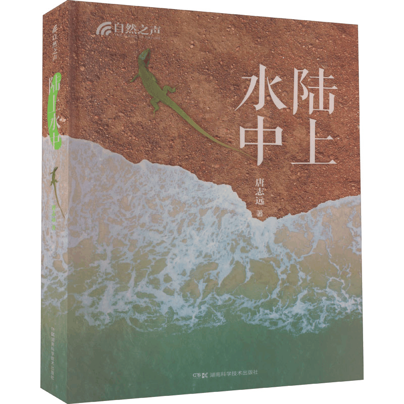 [M]自然之声 陆上水中-9787571015237图片