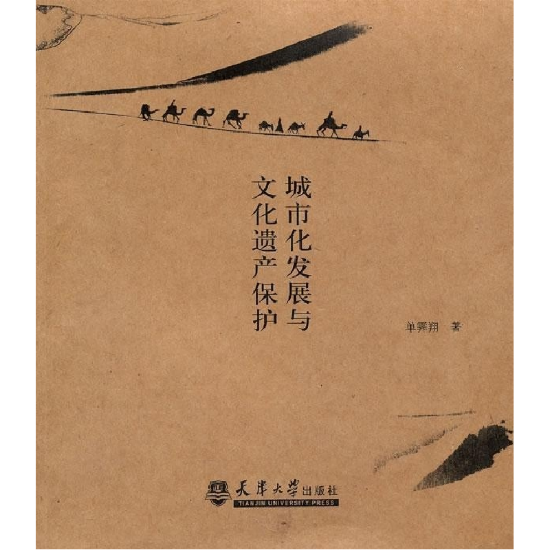 正版新书]城市化发展与文化遗产保护单霁翔9787561823002高清大图