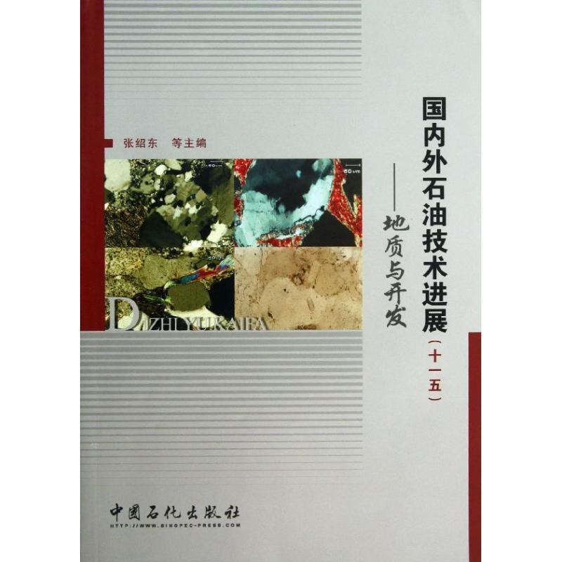 正版新书】国内外石油技术进展张绍东 等 编 著9787511417756
