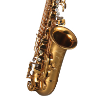 Rollinsax罗林斯中音萨克斯乐器 RSA-X3 正品成人降e调 黄铜萨克斯管/风