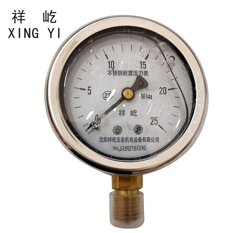 祥屹+不锈钢耐震压力表检测定制型+YN60BF+块 0-25Mpa