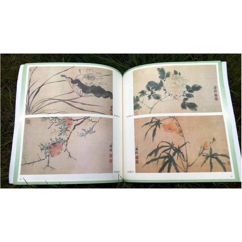 醉染图书陈淳、 徐渭写意花鸟画谱9787558616631高清大图