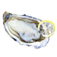 海洋岛N4大连新鲜大生蚝鲜活牡蛎即食海鲜水产海蛎子3800g