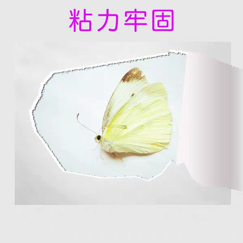 鸿泰液体胶2.5L大桶装透明胶水制作水晶泥手工课用胶