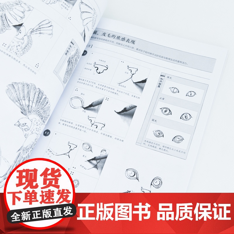 正统白描技法入门教程 中国画白描入门正统工笔花鸟技法白描勾线水墨画国画基础教程书临摹画册白描临摹图谱花鸟鱼虫高清大图