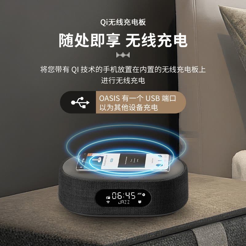 哈曼卡顿 CITATION OASIS 黑色FM 音乐绿洲 人工智能音箱 带收音机和无线充电 支持Wi-Fi图片