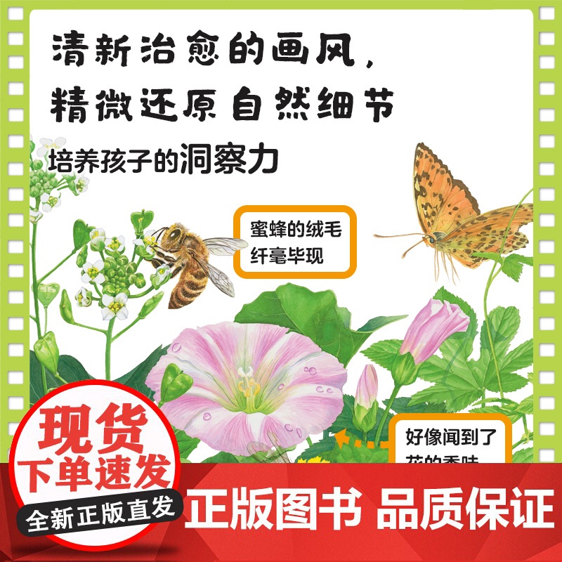 向上吧小蜗牛 儿童抗挫力培养绘本系列 向上吧小蜗牛 小蜗牛 好吃的在哪里 3-6岁 车丽娇著 洞察力专注力行动力抗挫力儿高清大图