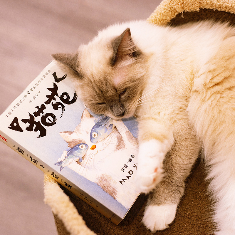 [正版] +贴纸+猫儿契+书签猫苑猫乘上下2册套装吸猫必 备 所有铲屎官的必读经典 带您看透猫的808个小秘密高清大图