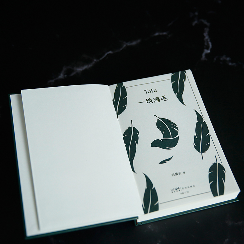 醉染图书一地鸡毛9787536097254高清大图