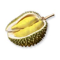 泰国进口 金枕头榴莲 原箱 约15kg 5-6个 新鲜水果