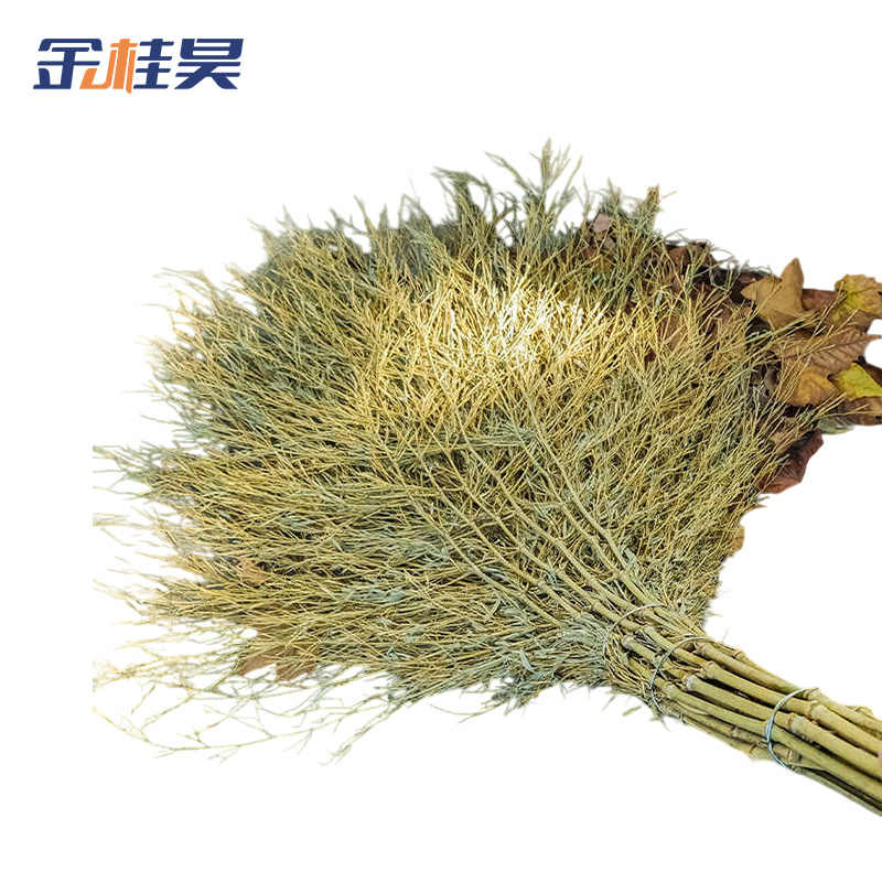 金桂昊 大扫把 一体带叶5斤重 把高清大图