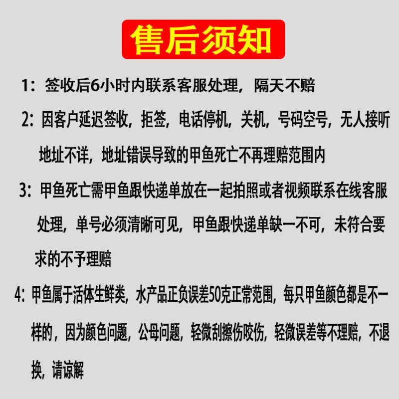 大甲鱼活体免邮老鳖鲜活水鱼滋补送礼团鱼中华鳖食用海鲜水产