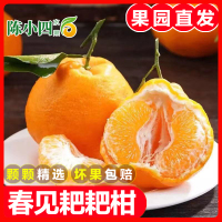 四川春见耙耙柑 净重3斤/5斤/9斤 橙子新鲜柑橘蜜桔 新鲜水果生鲜陈小四水果 3斤大果70-80mm