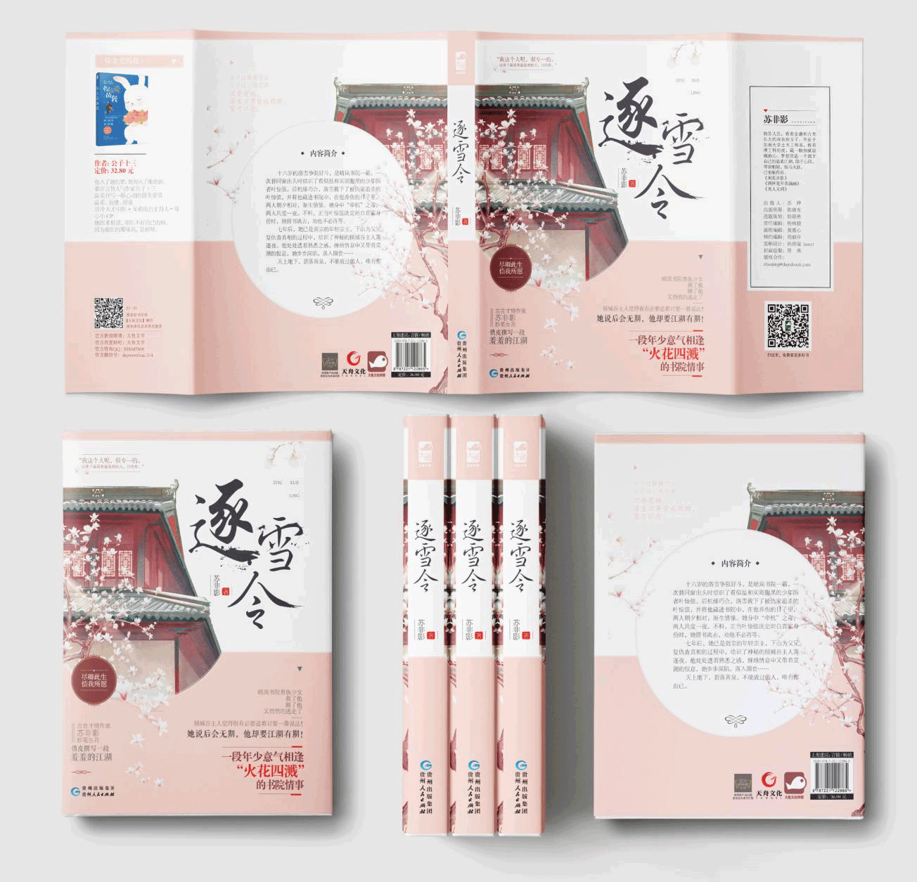 [正版图书]逐雪令 苏非影著 大鱼文化系列古言小说 古代古风江湖爱情言情小书少女单纯暗恋情感武侠小说 青春文学小说 贵州高清大图