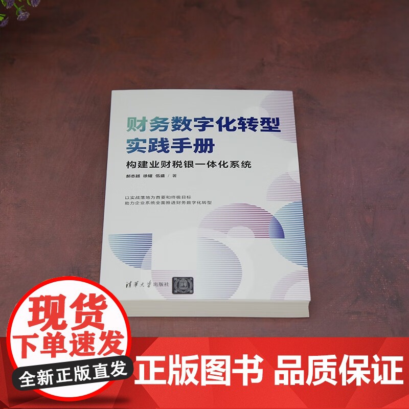 财务数字化转型实践手册 郝志越等 著 管理高清大图