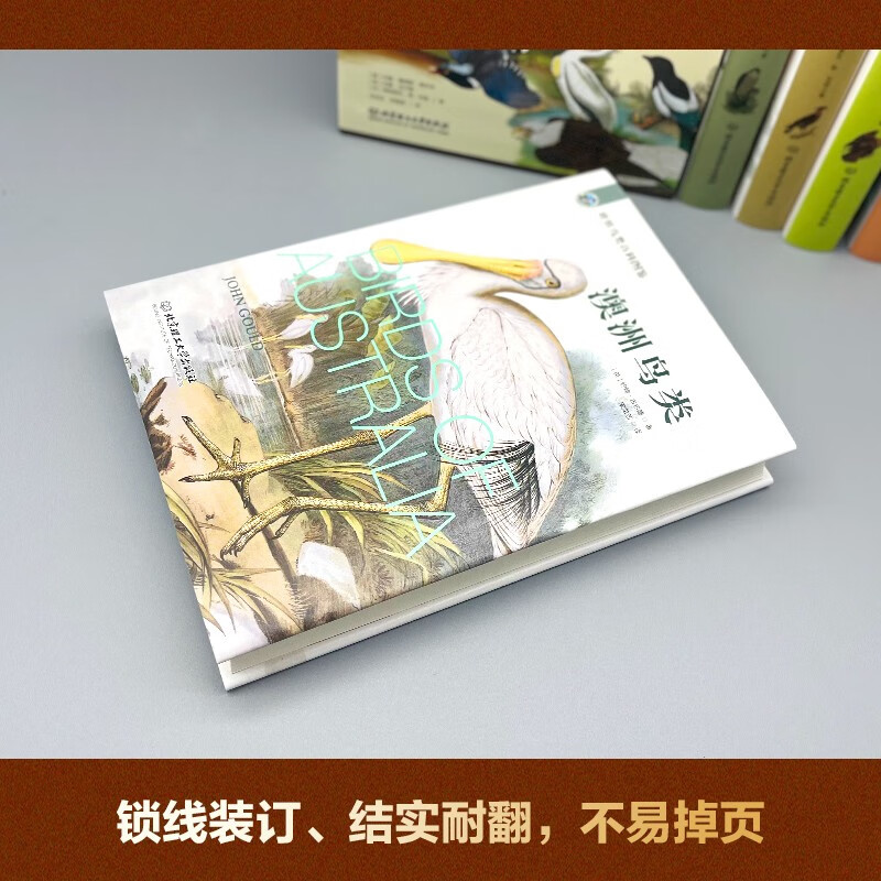 世界鸟类图鉴(全5册 全彩插图 硬壳精装版) [正版]世界鸟类百科图鉴全5册 自然界生物五大洲了解鸟类知识科普读物艺术鉴高清大图