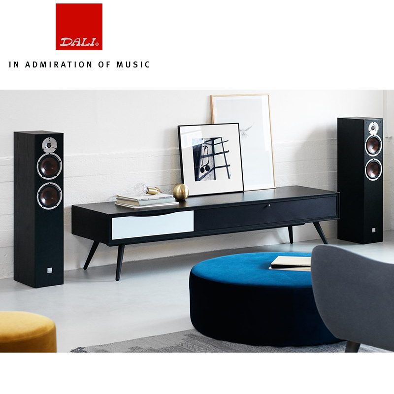 达尼 SPEKTOR 6 启典6号HIFI高保真落地发烧无源音响箱 一对 黑色